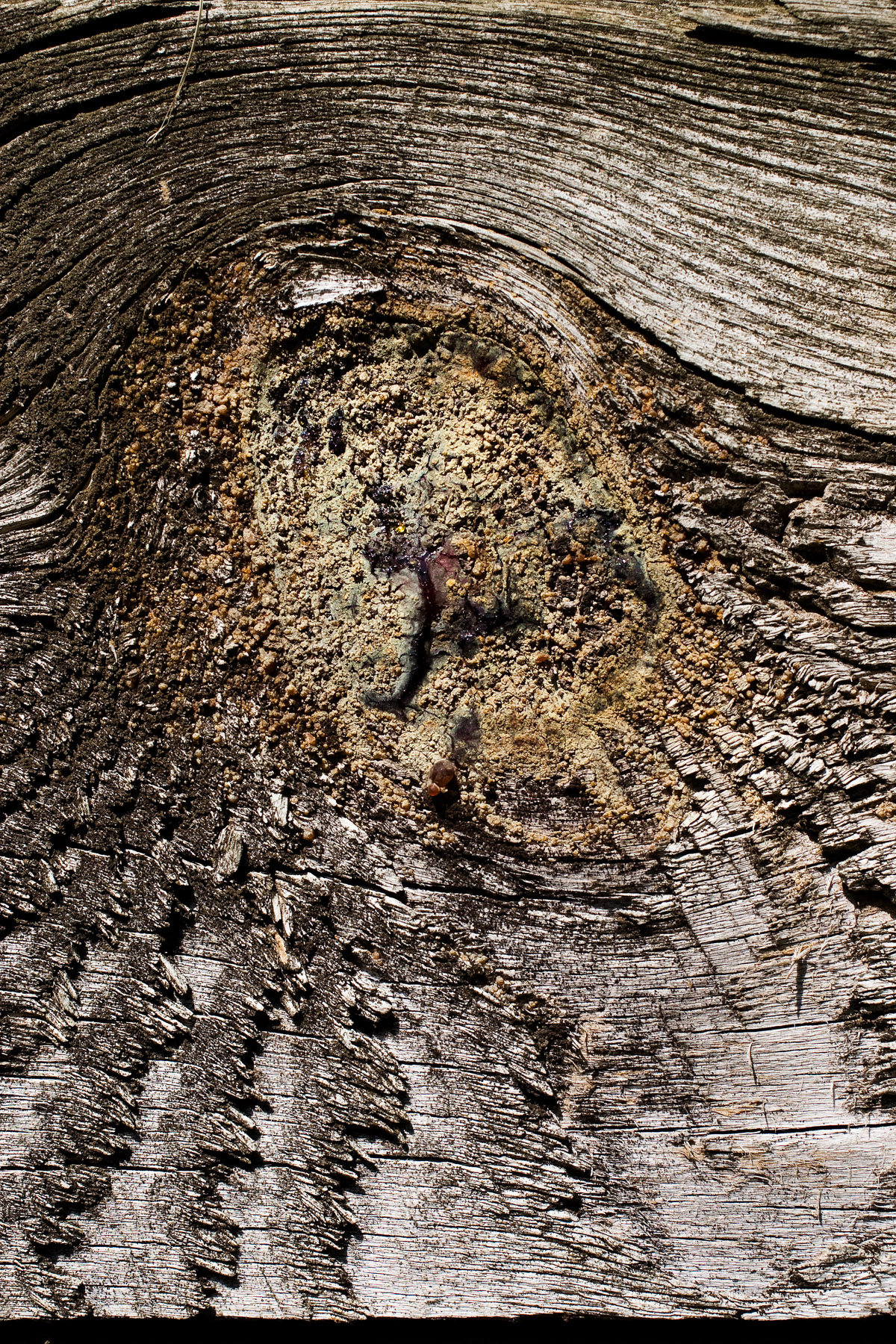 13 _MG_4585-EDIT