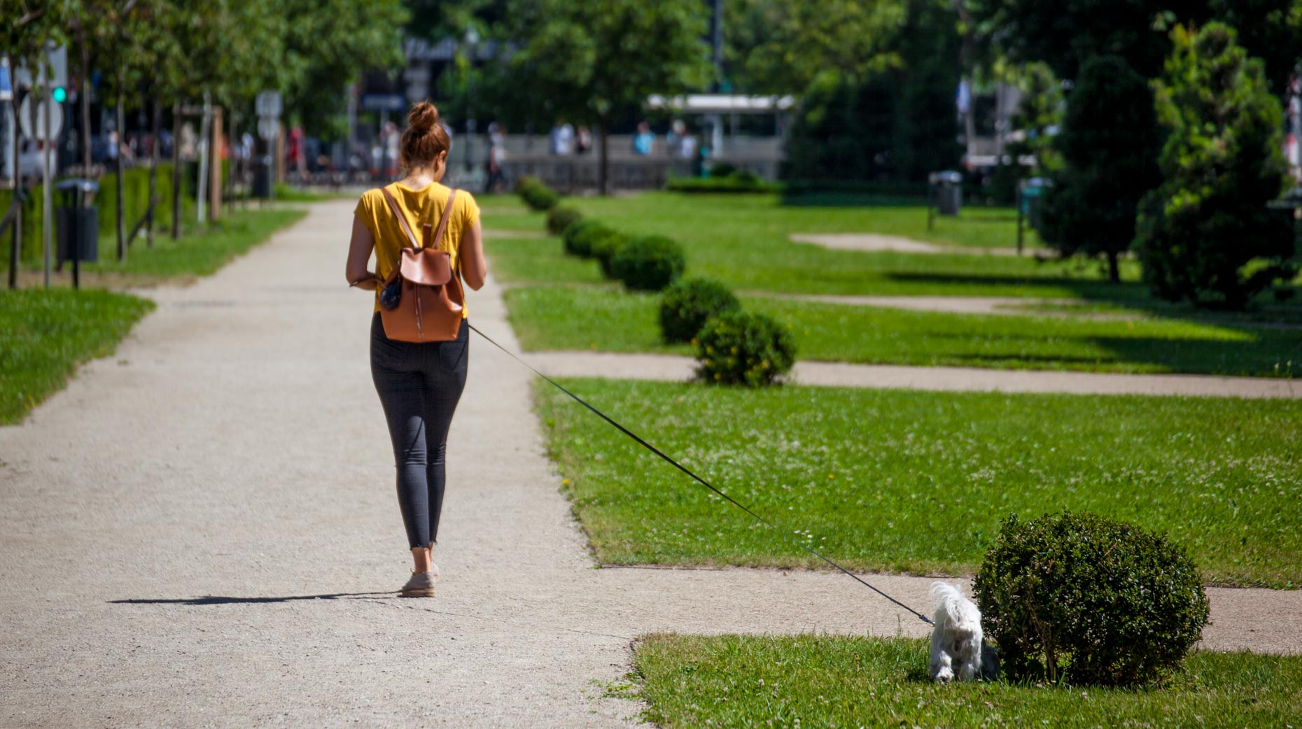 Lady in yellow shirt walking her dog