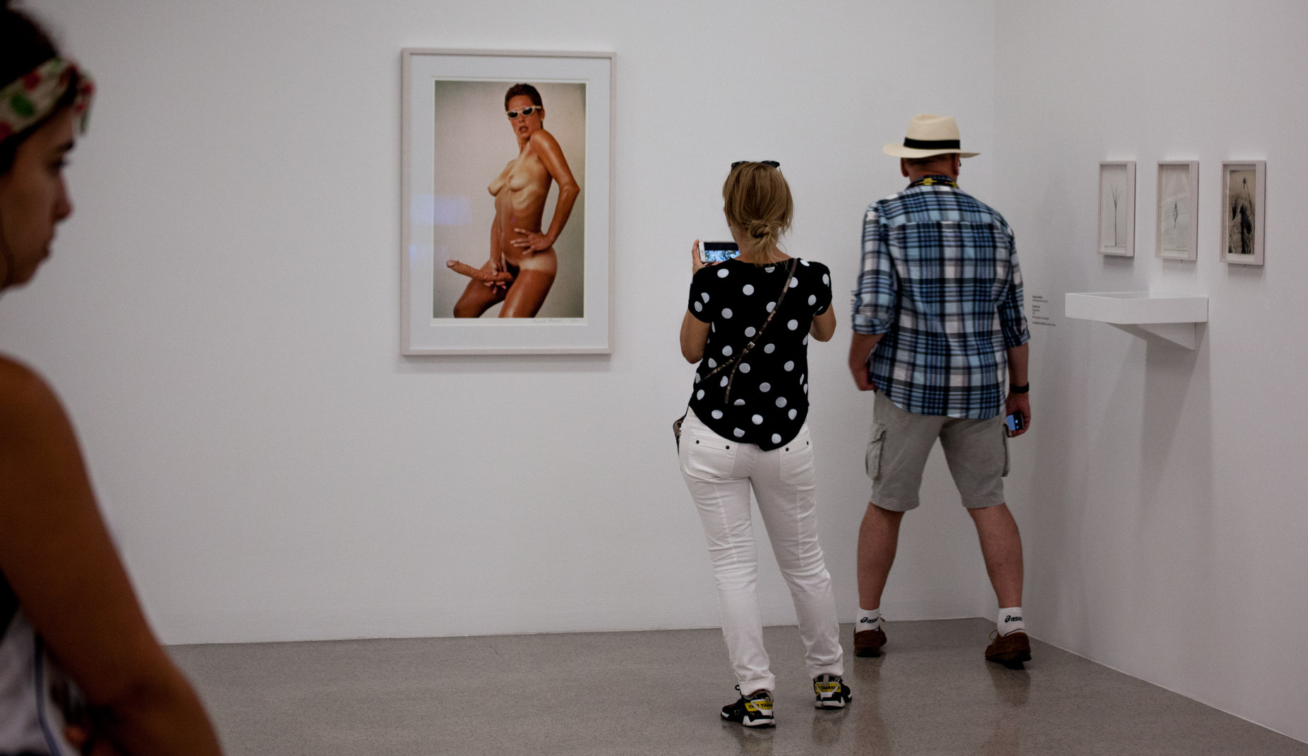 Lady photographing art